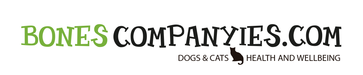 logo BONES COMPANYIES